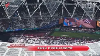 巴黎圣日耳曼八强战爆冷广厦男篮，高芙砍下2记关键球，全场沸腾的简单介绍